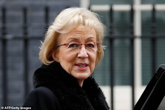 Andrea Leadsom thebritishherald