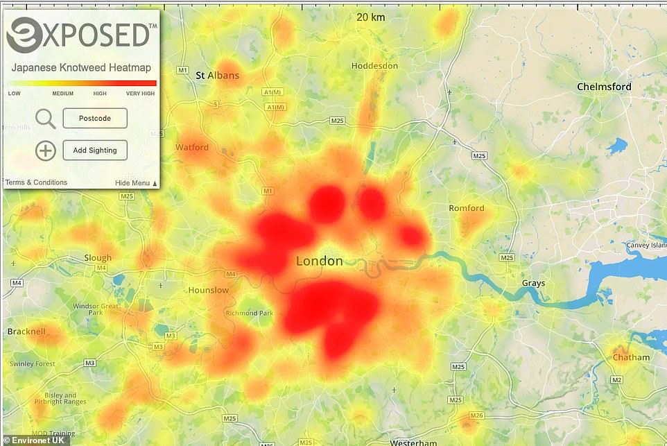 The online map created by Environet pinpoints thousands of infestations of the notoriously invasive weed up and down the country Pictured reports of the plant in outer London