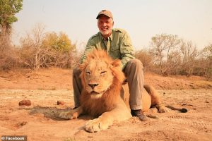 Guy Gorney poses straddling a dead lion in a photograph on his Facebook page wearing the same outfit he is videoed killing a lion in Zimbabwe in 2011